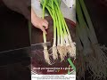 Trimming Scallion Roots – Quick Prep for Fresh Green Onions 🌿🔪