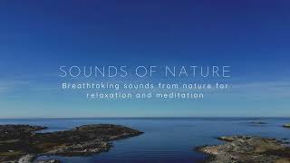 Sounds of nature Teaser
