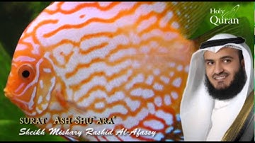 Surat Ash-Shu`ara'- Mishary Rashid Alafasy --   سورة الشعراء  - مشاري بن راشد العفاسي