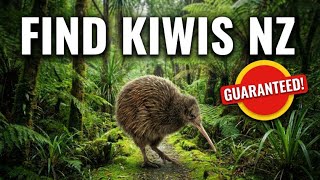 Celebrity 12 Top Spots: Where to See Kiwi Birds in New Zealand (Guaranteed vs Wild) Wealth