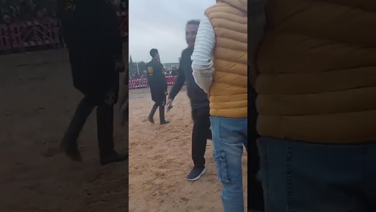 خيول وأصالة من مهرجان الدندان 🏇✨