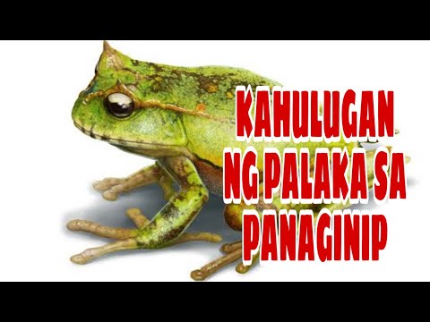 KAHULUGAN NG PALAKA SA PANAGINIP  GIO AND GWEN LUCK AND MONEY CHANNEL