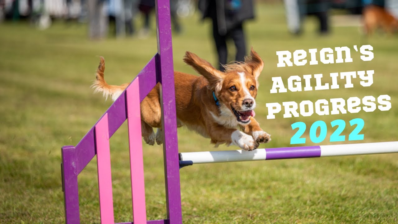 Reign agility progress 2022