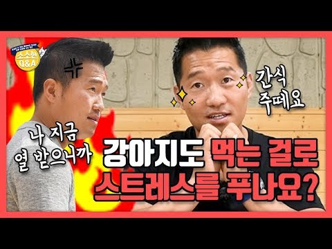 [Eng sub] 강아지도 먹는 걸로 스트레스를 푸나요?｜강형욱의 소소한 Q&A