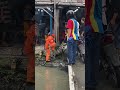 Warga nangkap biawak ukuran jumbo