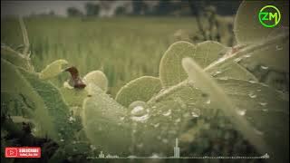 MARS PERPISAHAN Sedih TERBARU 2022