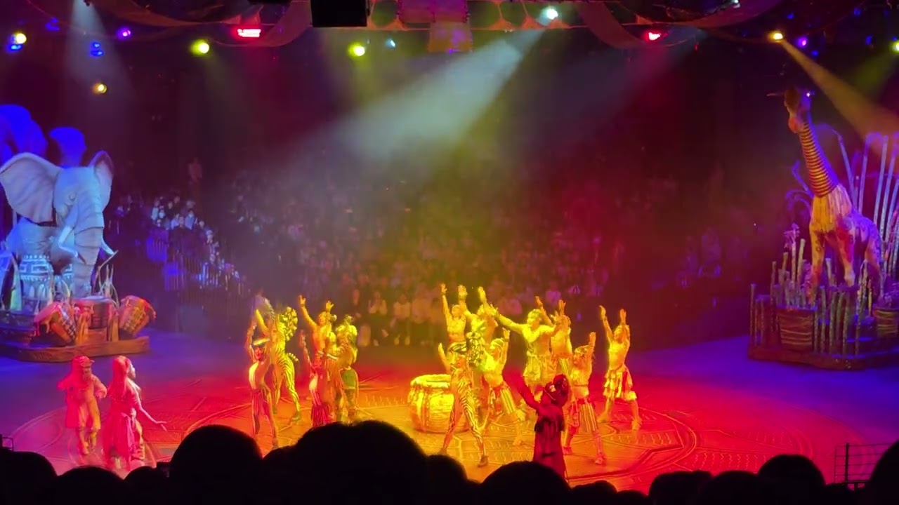 26년 1월, 홍콩 디즈니랜드 [라이온킹 공연]