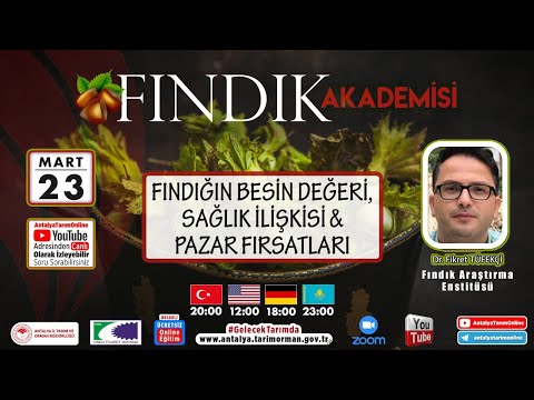 FINDIK AKADEMİSİ-10 FINDIĞIN BESİN DEĞERİ,SAĞLIK İLİŞKİSİ VE PAZAR FIRSATLARI DR. FİKRET TÜFEKÇİ