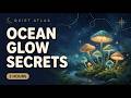 Gentle Facts About Nature, Space and the Quiet World for Sleep