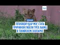 Новости дня | 5 августа 2026 г. — дневной выпуск