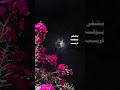 ماله علاج لدينا