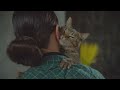Расшифровка кошачьего языка: язык тела 😻😺