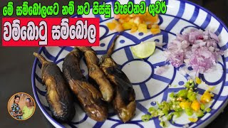 පුච්චපු වම්බටු සම්බෝල | Wambatu sambola aththammai mami