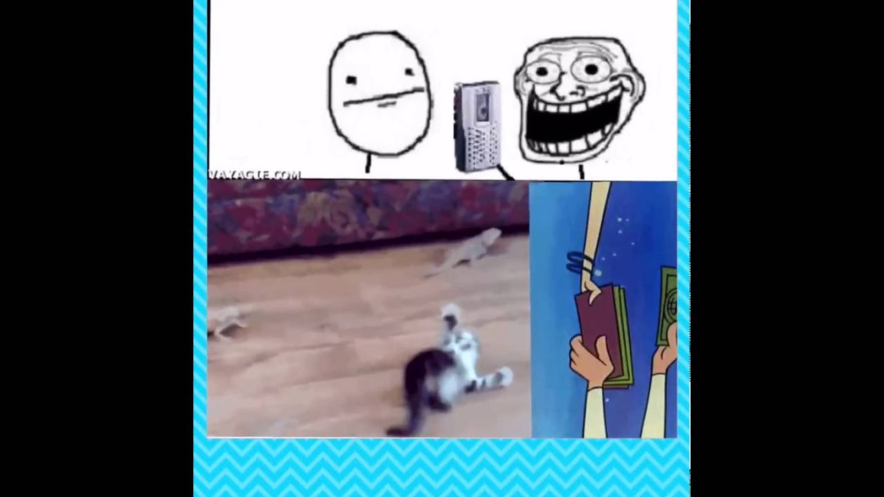 great memes sorry just found a screen recorder!! ( for my maxresdefault great memes sorry just found a screen recorder!! ( for my
