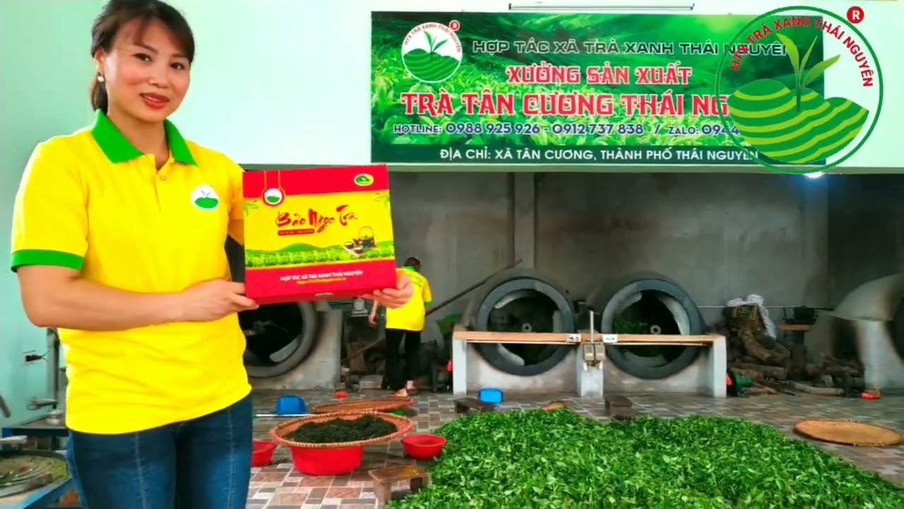 Top 10 loại trà móc câu ngon nhất và giá cả chi tiết 2023