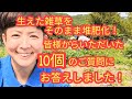 生えたままの雑草をそのまま堆肥化❗視聴者の皆さまからいただいた【１０個のご質問】にお答えしました❗〜動画の最後に超❤️ユニークな話題のオマケつきw〜