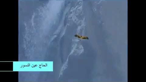 تلاوة مباركة من سورة المعارج