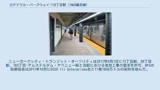 カテドラル・パークウェイ-110丁目駅 (IND8番街線)