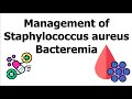 Management of staphylococcus aureusbacteremia idsa guidelines