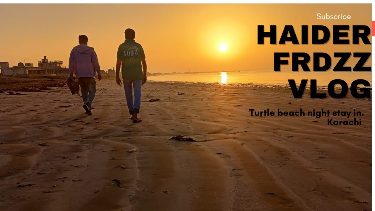 NIGHT STAY AT  | TURTLE BEACH | COOKING | SINGING | PARTY #turtlebeach #funnyvideo #memes #tourism