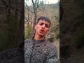 viral#reel#on tube