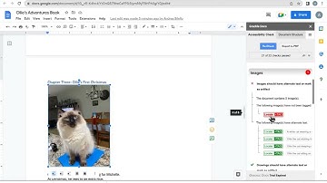 Grackle Docs Accessibility Checker Demo