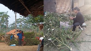 How To Cashching Tamol