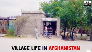 Village life in Afghanistan | 4K