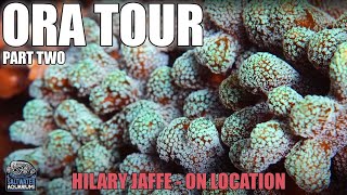 LARGEST Land-Based Aquacultured Coral Greenhouse - ORA Tour-  Part 2 - Hilary On Location