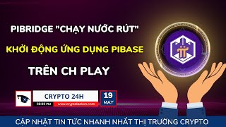 Crypto 24H - Pibridge Chạy Nước Rút Khởi Động Ứng Dụng Pibase Trên Ch Play