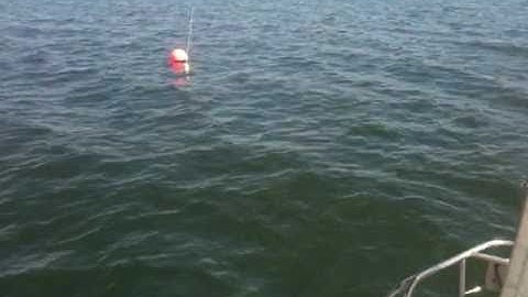 How to Sail a Boat: Singlehanding to the Mooring