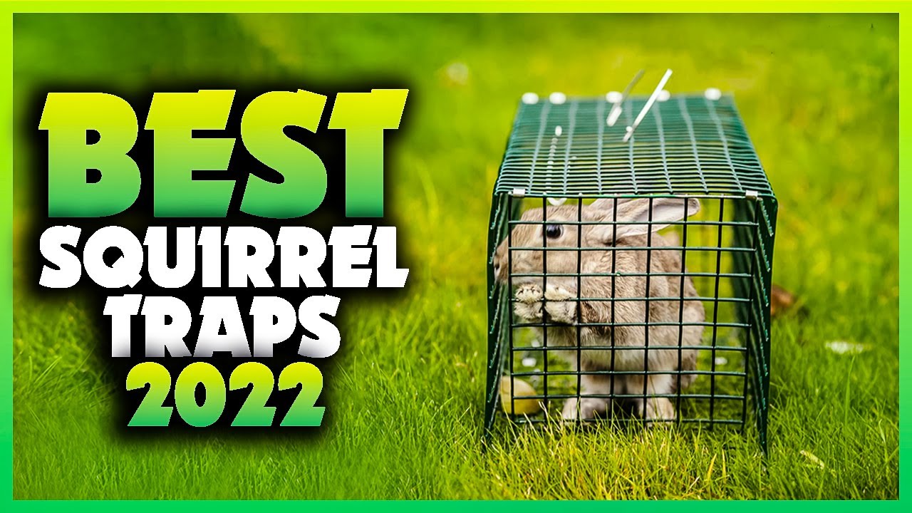 Bomgaars : Neocraft RAPID-SET Squirrel Trap : Squirrel Traps