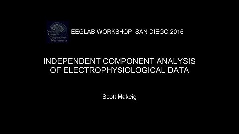 EEGLAB Workshop San Diego 2016:  ICA decomposition theory & evaluation