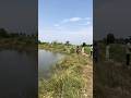 Danger ⛔️ fish 🎣 videos 🥺🥺🥺