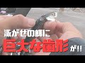 伊豆大島4日目 岡田港&カキハラへ釣行!ドローン撮影も挑戦してみました10話