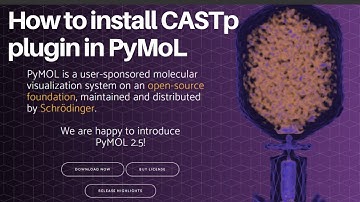 How to install CASTp plugin inside PyMOL #PyMOL #MolecularVisualization #ProteinInteractions