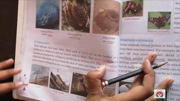 Evs - class 4th - Animal Behaviour | Admire Academy