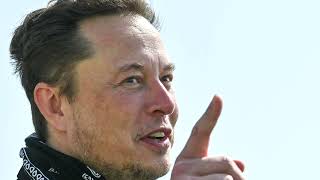 Elon Musk lays off Tesla execs, plans more cuts | REUTERS