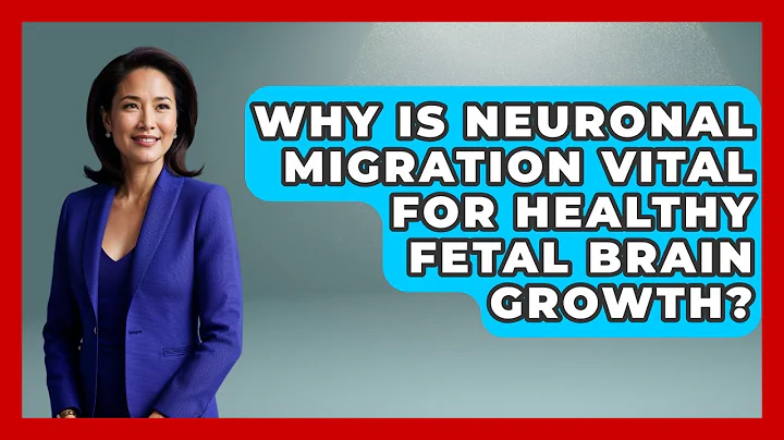 Why Is Neuronal Migration Vital For Healthy Fetal Brain Growth? - Brain Development Hub