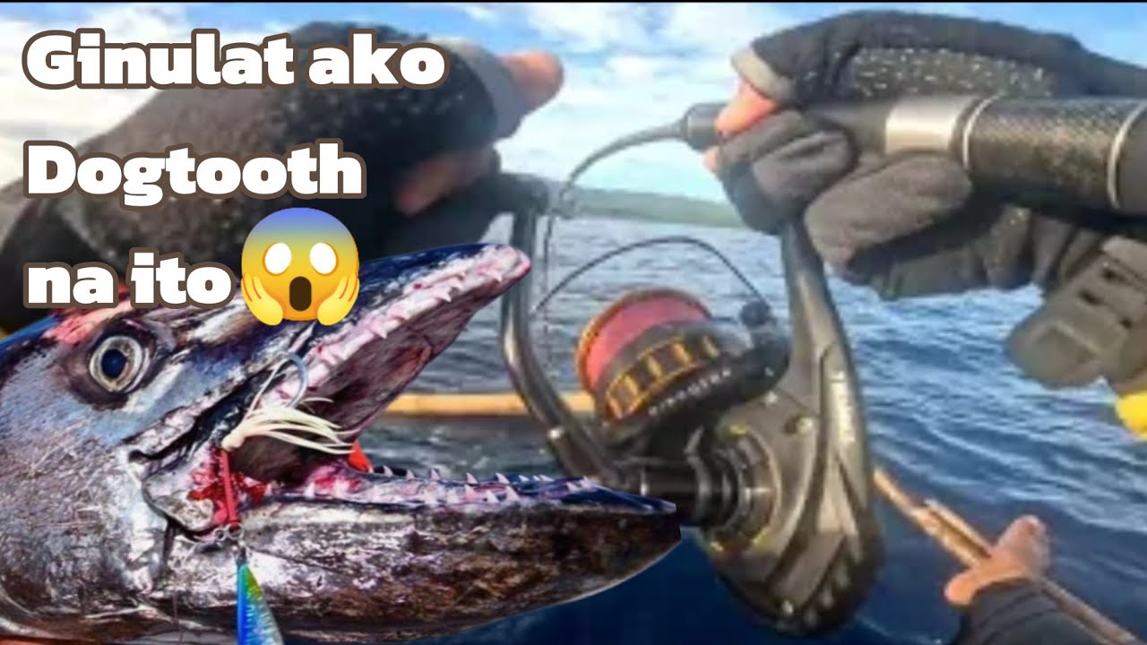 Dogtooth  tuna 🔥🔥🔥🤘