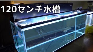 １２０cm水槽セット　購入レビュー【コトブキ】