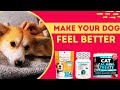 Stop dog anxiety fast with best anxiety medication for dogs