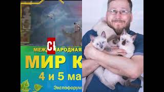 #ASC выставка кошек 4+5 мая "Мир Кошек", Санкт-Петербург