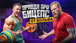 ДЕННИС ВОЛЬФ РАЗНОСИТ БИЦЕПСЫ СИМКИНА 