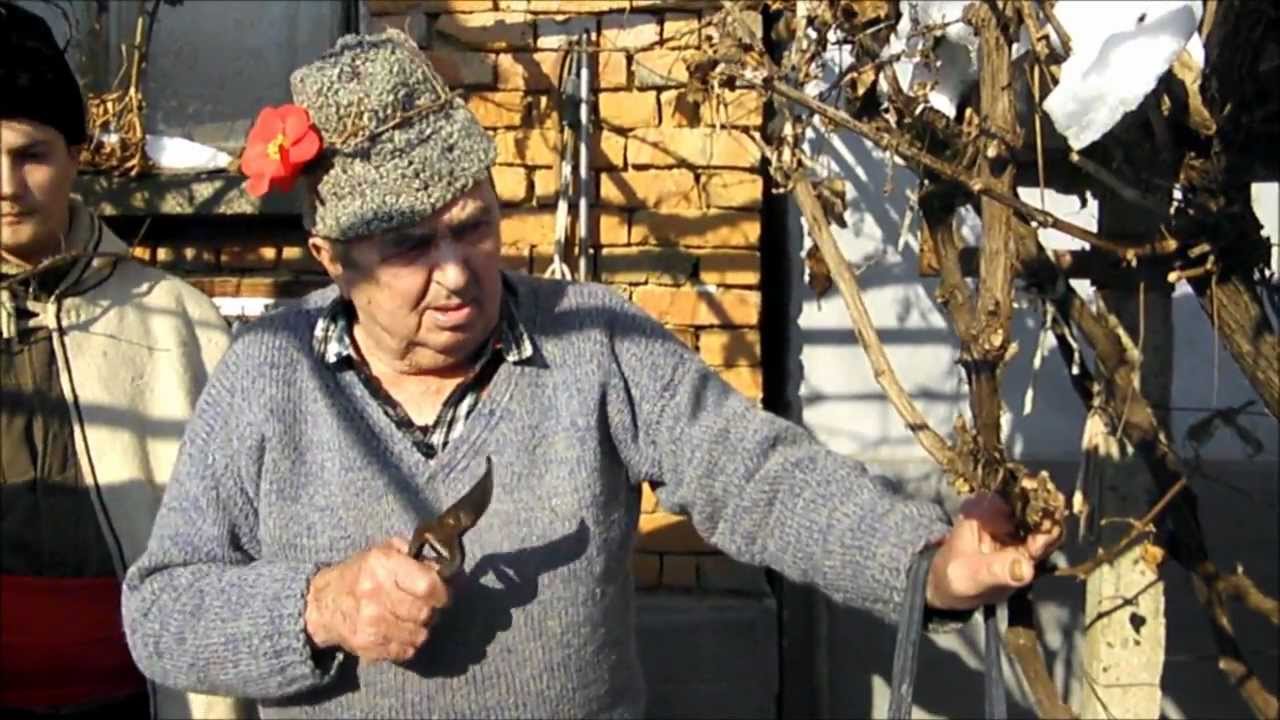 св. Трифон Зарезан - с. Търнава (в дома на бай Иван)