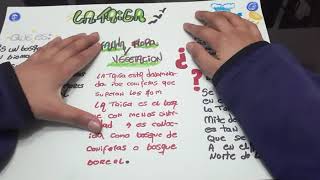 la taiga fauna flora y vegetacion toda informacion