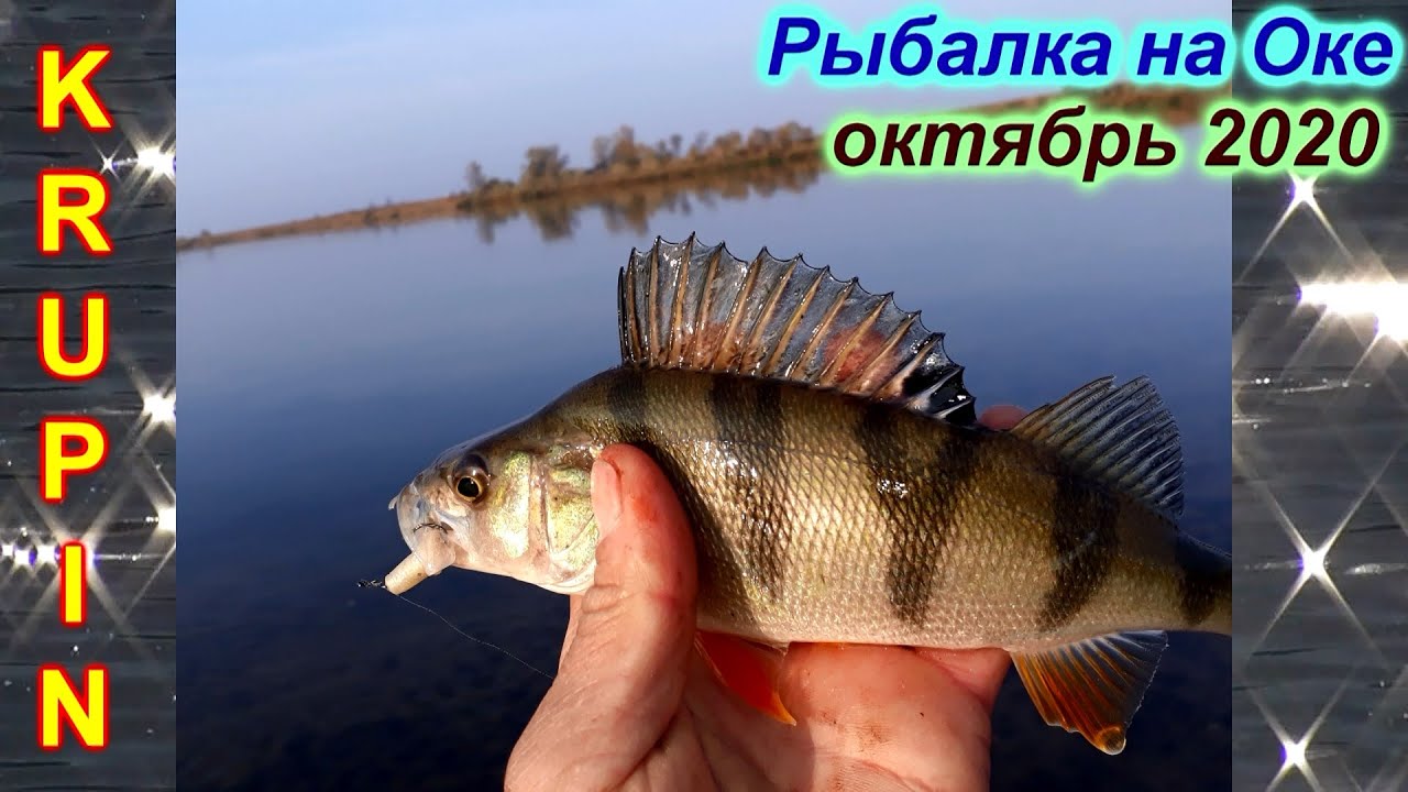 Где собирали оку