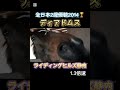 #ディアドムス #ライディングヒルズ静内 #引退馬 #功労馬 #乗馬