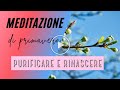 Meditazione di primavera per purificare e rinascere