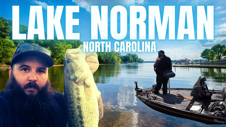 I Can’t BELIEVE The Spotted BASS On this lake(Lake norman)